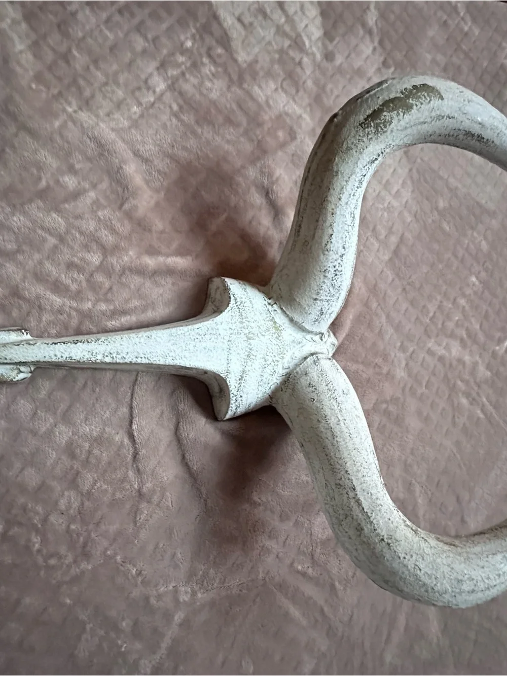 Vintage Rustic White Decorative Wall Horn